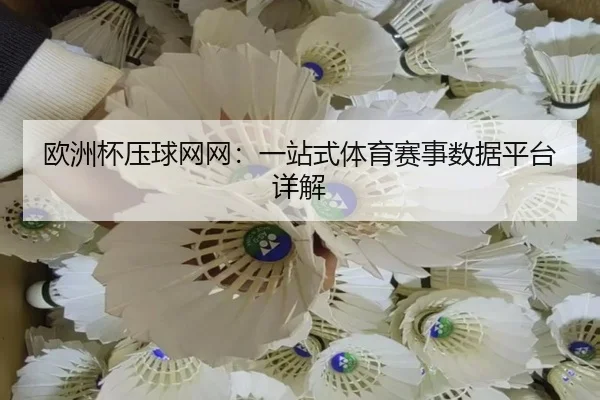 欧洲杯压球网网：一站式体育赛事数据平台详解
