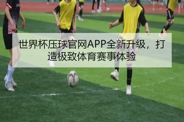 世界杯压球官网APP全新升级，打造极致体育赛事体验